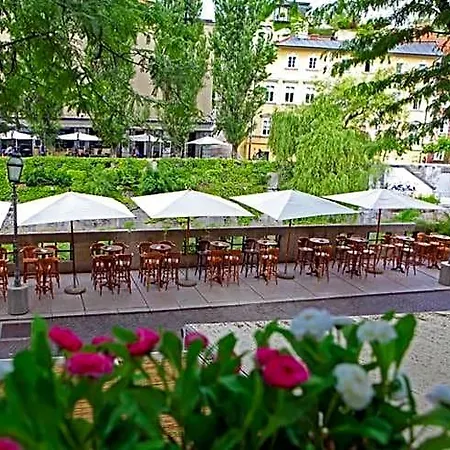 Macek 3* Ljubljana
